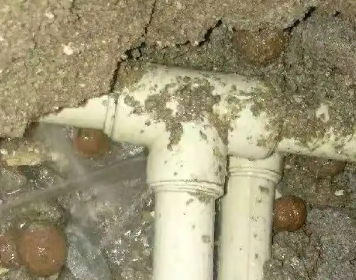 巴南测漏水多少钱