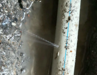 巴南测漏水哪家好