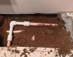 巴南测漏水哪家好