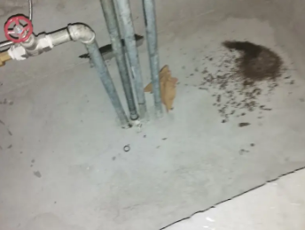 巴南卫生间测漏水价格明细