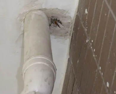 巴南漏水检测哪家好